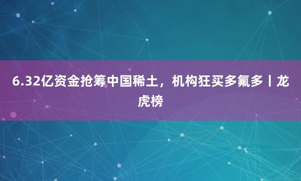 6.32亿资金抢筹中国稀土，机构狂买多氟多丨龙虎榜