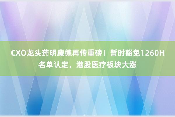 CXO龙头药明康德再传重磅！暂时豁免1260H名单认定，港股医疗板块大涨