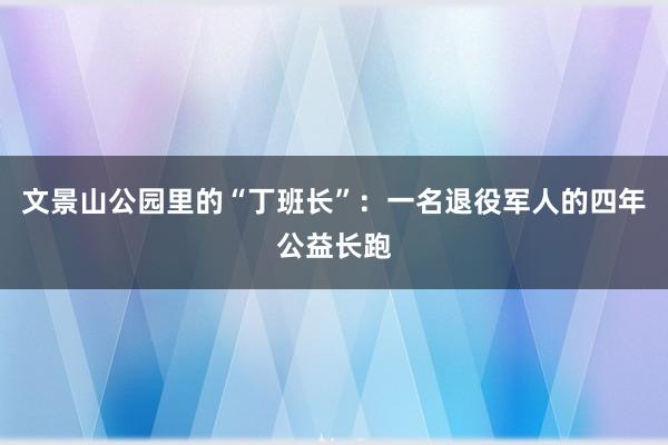 文景山公园里的“丁班长”：一名退役军人的四年公益长跑