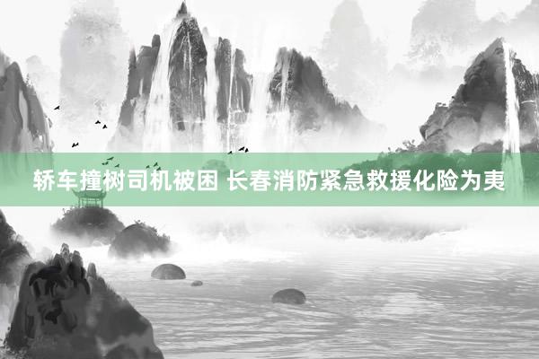 轿车撞树司机被困 长春消防紧急救援化险为夷