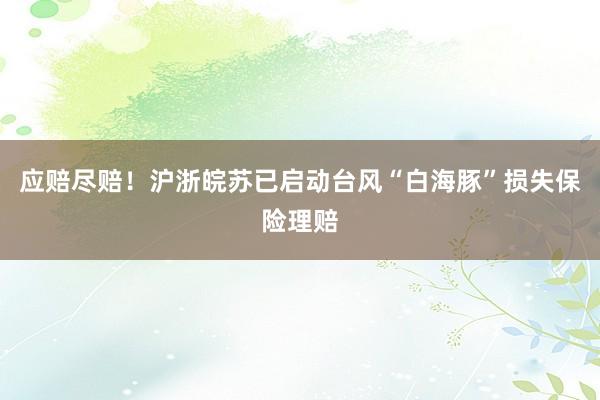 应赔尽赔！沪浙皖苏已启动台风“白海豚”损失保险理赔