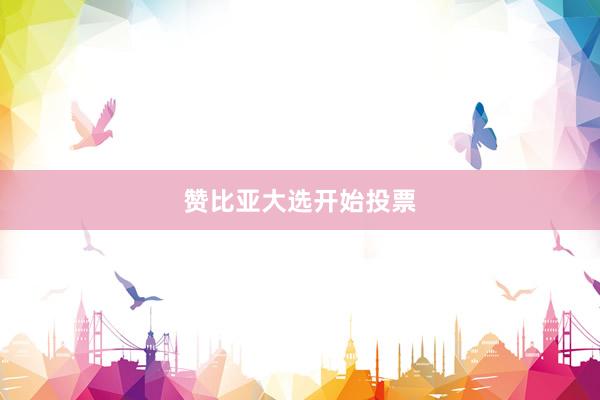赞比亚大选开始投票