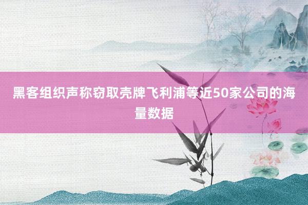 黑客组织声称窃取壳牌飞利浦等近50家公司的海量数据