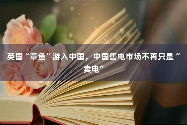 英国“章鱼”游入中国，中国售电市场不再只是“卖电”