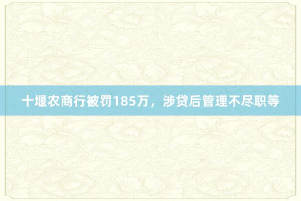 十堰农商行被罚185万，涉贷后管理不尽职等