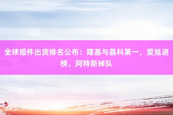 全球组件出货排名公布：隆基与晶科第一，爱旭进榜，阿特斯掉队