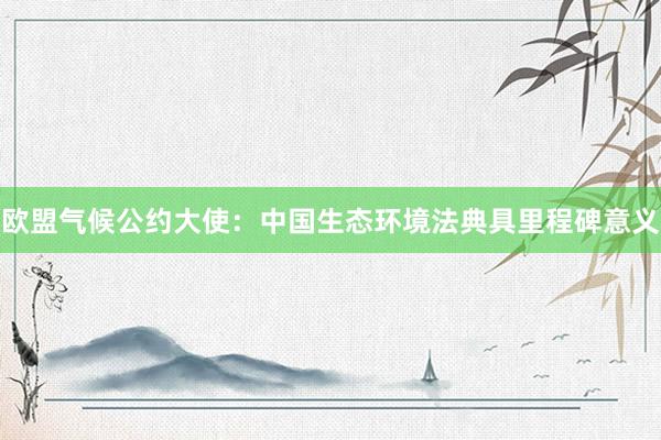 欧盟气候公约大使：中国生态环境法典具里程碑意义