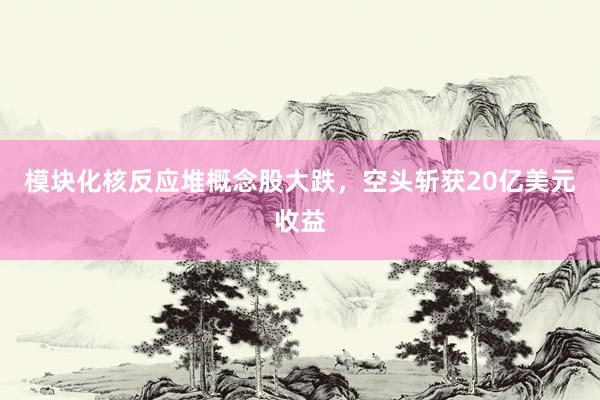 模块化核反应堆概念股大跌，空头斩获20亿美元收益