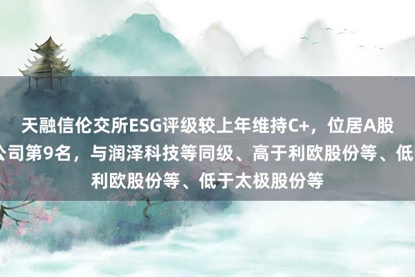 天融信伦交所ESG评级较上年维持C+，位居A股同行业23家公司第9名，与润泽科技等同级、高于利欧股份等、低于太极股份等