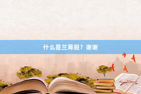 什么是兰筹股？谢谢