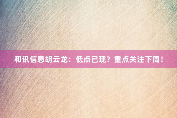 和讯信息胡云龙：低点已现？重点关注下周！