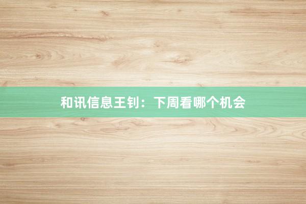 和讯信息王钊：下周看哪个机会