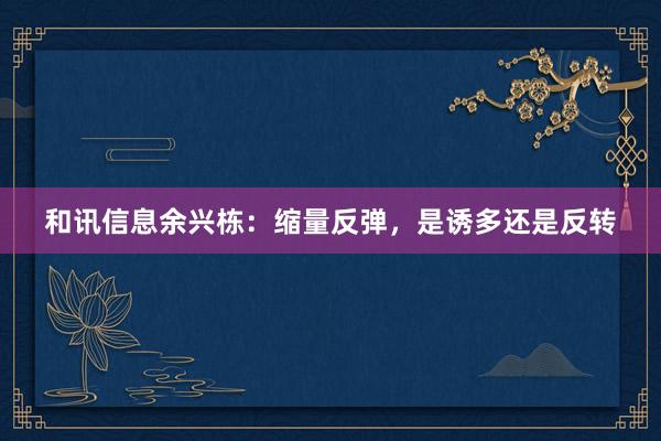 和讯信息余兴栋：缩量反弹，是诱多还是反转