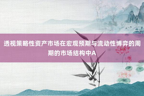 透视策略性资产市场在宏观预期与流动性博弈的周期的市场结构中A