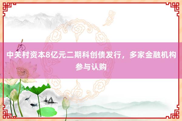 中关村资本8亿元二期科创债发行，多家金融机构参与认购
