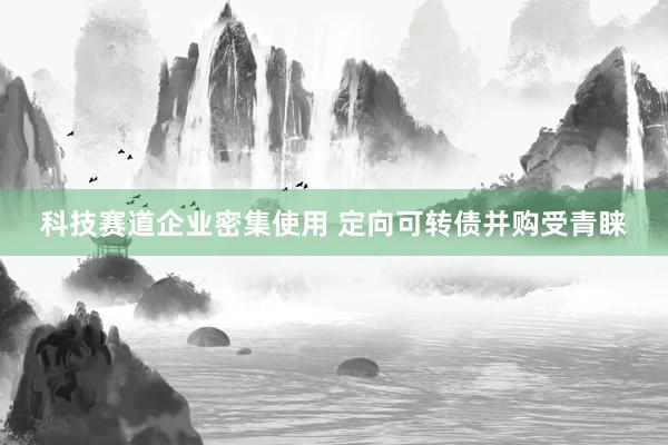 科技赛道企业密集使用 定向可转债并购受青睐