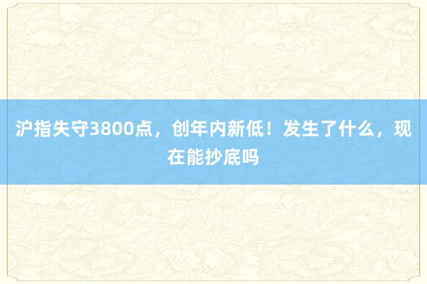 沪指失守3800点，创年内新低！发生了什么，现在能抄底吗