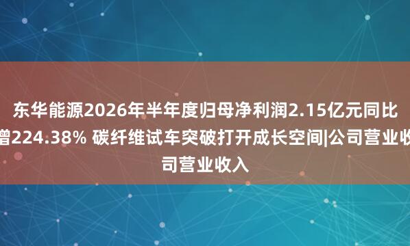 东华能源2026年半年度归母净利润2.15亿元同比大增224.38% 碳纤维试车突破打开成长空间|公司营业收入
