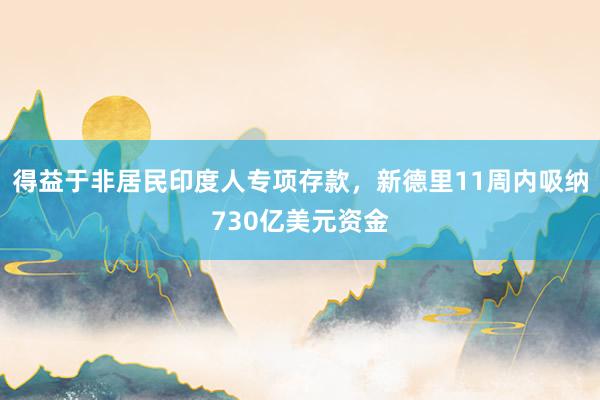 得益于非居民印度人专项存款，新德里11周内吸纳730亿美元资金