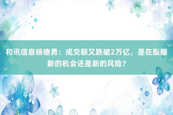和讯信息杨德勇：成交额又跌破2万亿，是在酝酿新的机会还是新的风险？