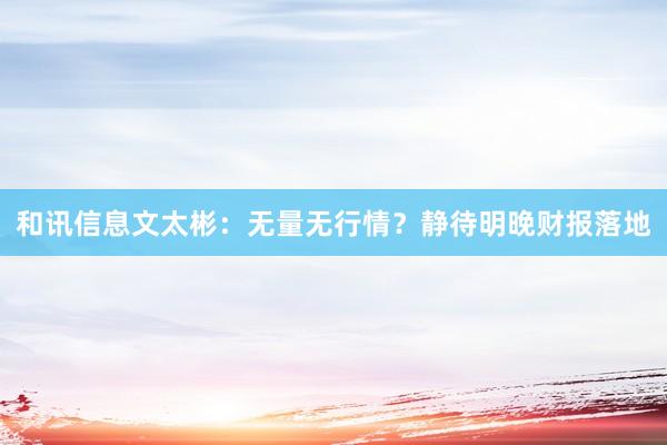 和讯信息文太彬：无量无行情？静待明晚财报落地