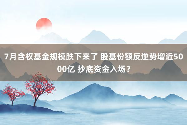 7月含权基金规模跌下来了 股基份额反逆势增近5000亿 抄底资金入场？
