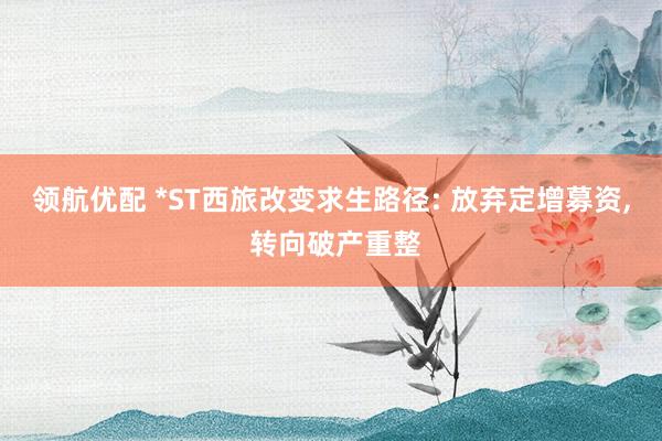 领航优配 *ST西旅改变求生路径: 放弃定增募资, 转向破产重整