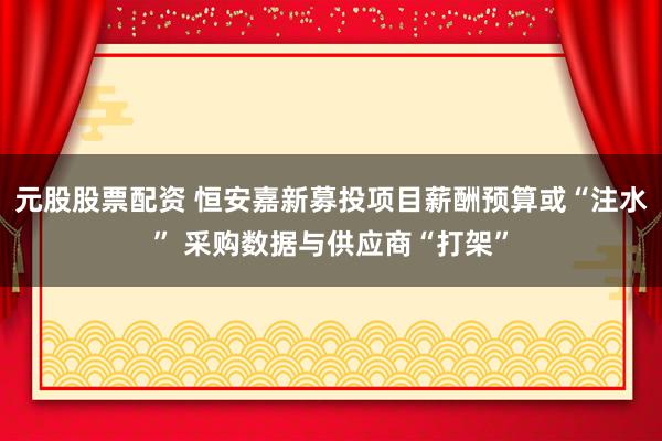 元股股票配资 恒安嘉新募投项目薪酬预算或“注水” 采购数据与供应商“打架”