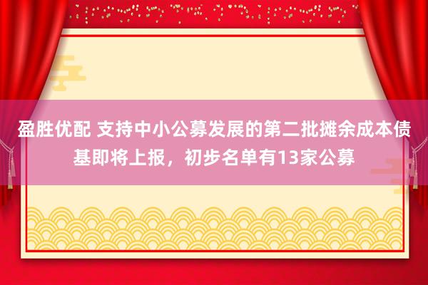 盈胜优配 支持中小公募发展的第二批摊余成本债基即将上报，初步名单有13家公募
