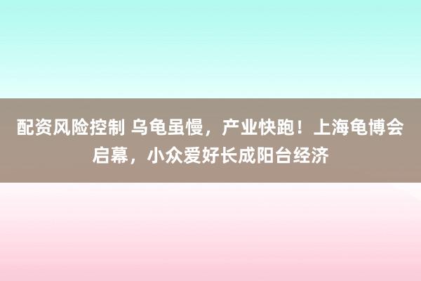 配资风险控制 乌龟虽慢，产业快跑！上海龟博会启幕，小众爱好长成阳台经济