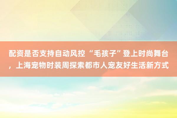 配资是否支持自动风控 “毛孩子”登上时尚舞台，上海宠物时装周探索都市人宠友好生活新方式