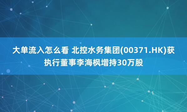 大单流入怎么看 北控水务集团(00371.HK)获执行董事李海枫增持30万股