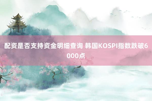 配资是否支持资金明细查询 韩国KOSPI指数跌破6000点