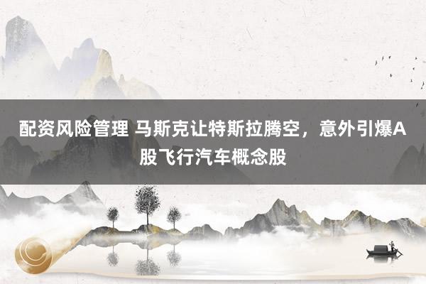 配资风险管理 马斯克让特斯拉腾空，意外引爆A股飞行汽车概念股